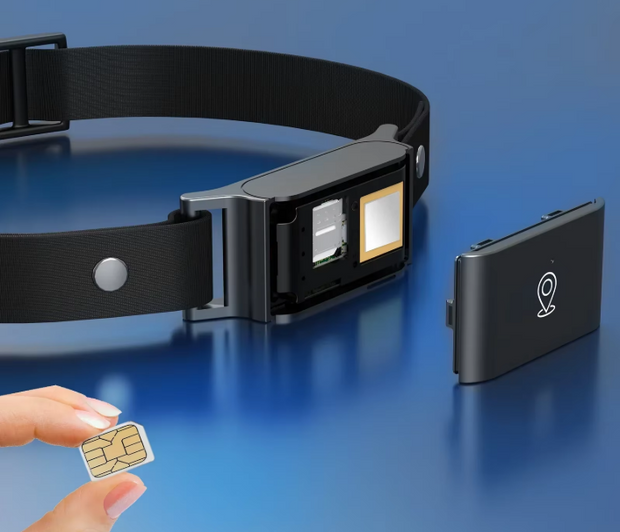 Collier GPS   Étanche  pour Chien et Chat- Localisation Anti-Perte, Sans Frais Mensuels