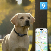 Collier GPS   Étanche  pour Chien et Chat- Localisation Anti-Perte, Sans Frais Mensuels