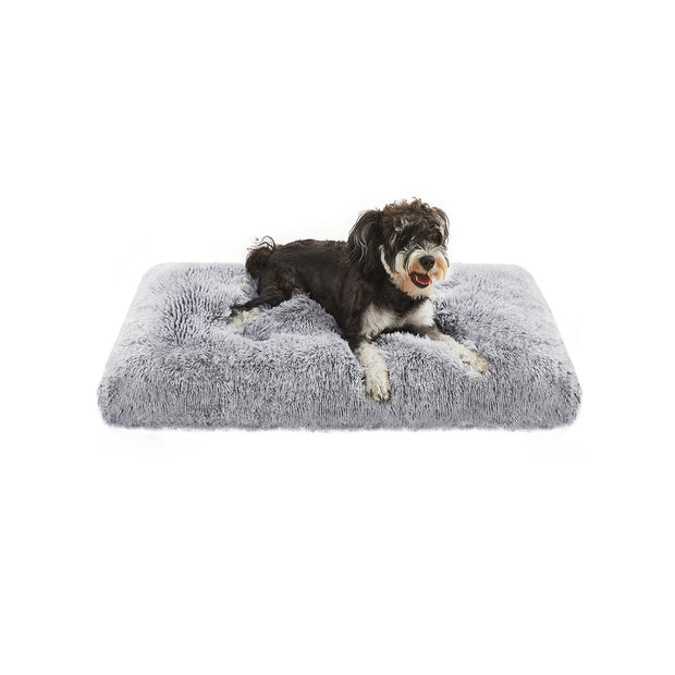 Canapé Lit pour Grand Chien