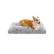 Canapé Lit pour Grand Chien