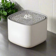 Fontaine à eau pour chat