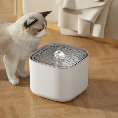Fontaine à eau pour chat