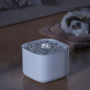 Fontaine à eau pour chat