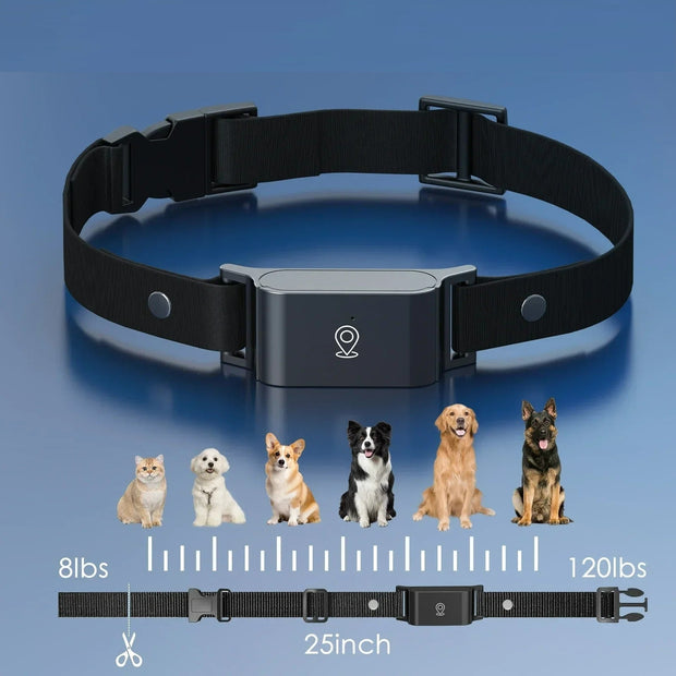 Collier GPS   Étanche  pour Chien et Chat- Localisation Anti-Perte, Sans Frais Mensuels